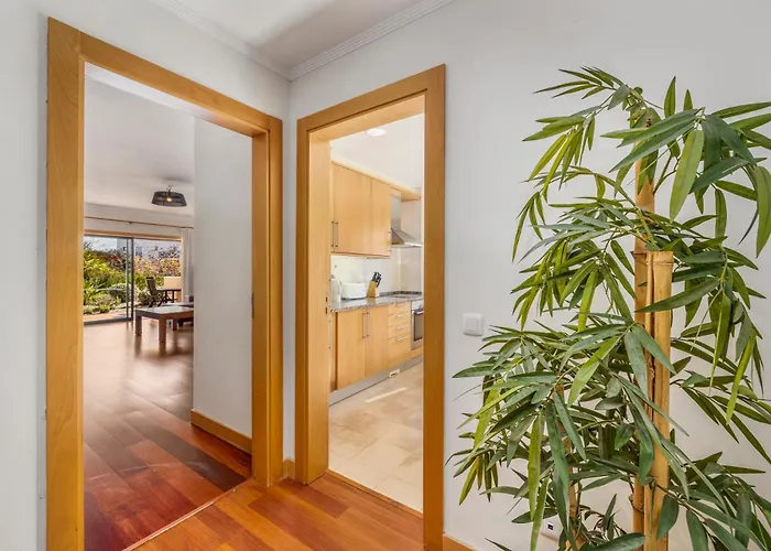 Corcovada * 阿尔布费拉